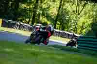 cadwell-no-limits-trackday;cadwell-park;cadwell-park-photographs;cadwell-trackday-photographs;enduro-digital-images;event-digital-images;eventdigitalimages;no-limits-trackdays;peter-wileman-photography;racing-digital-images;trackday-digital-images;trackday-photos